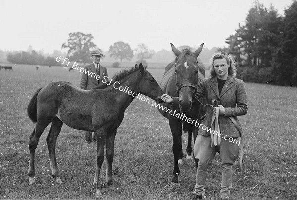 HEADFORD HOUSE  MISS ELIZABETH CLARKE WITH THOROUGHBRED MARES AND FOALS